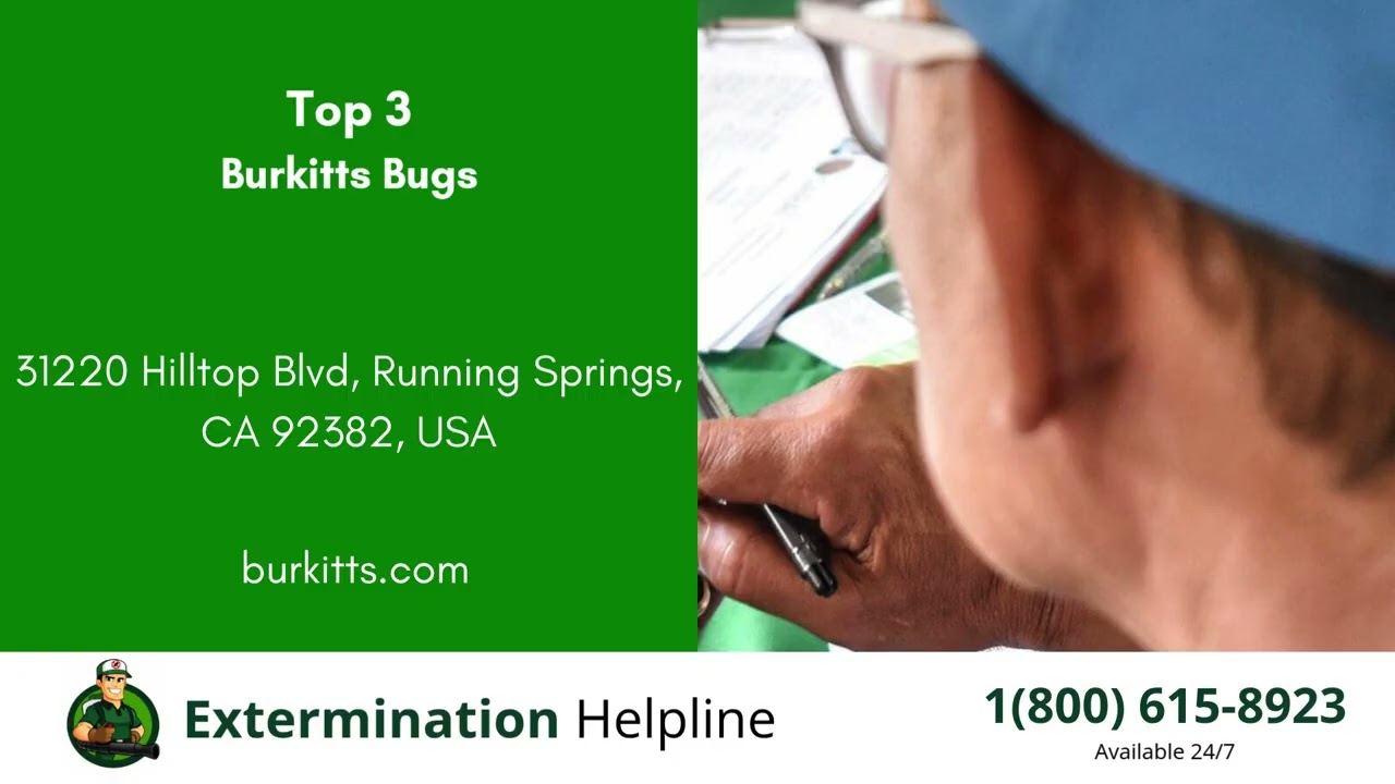 Top 3 Exterminators in Yucaipa