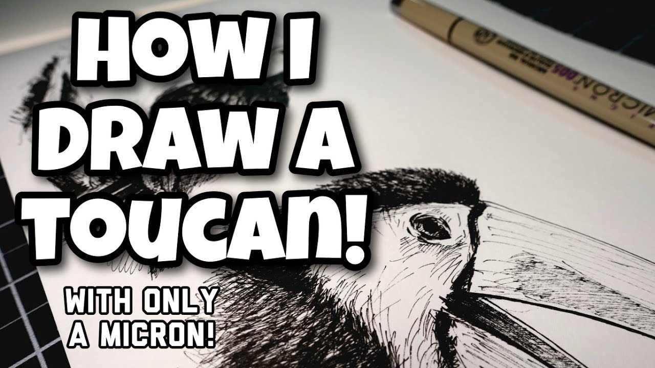 How I Draw A Toucan!
