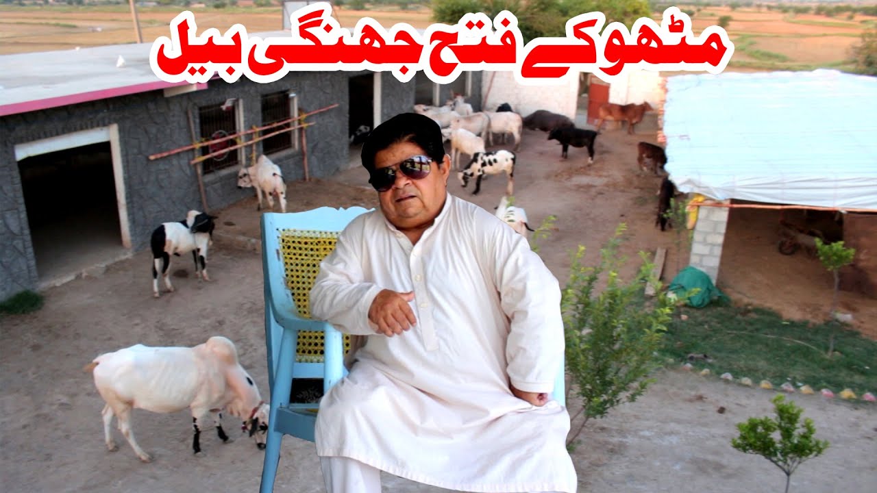 Pothwari Top Funny Drama - Mithu Butt Ep1 - Shahzada Ghaffar Funny Clips - Pothwar Gold