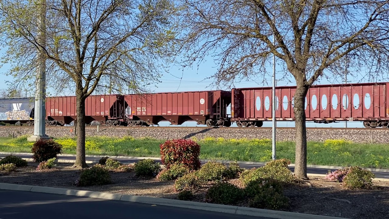 BNSF Train