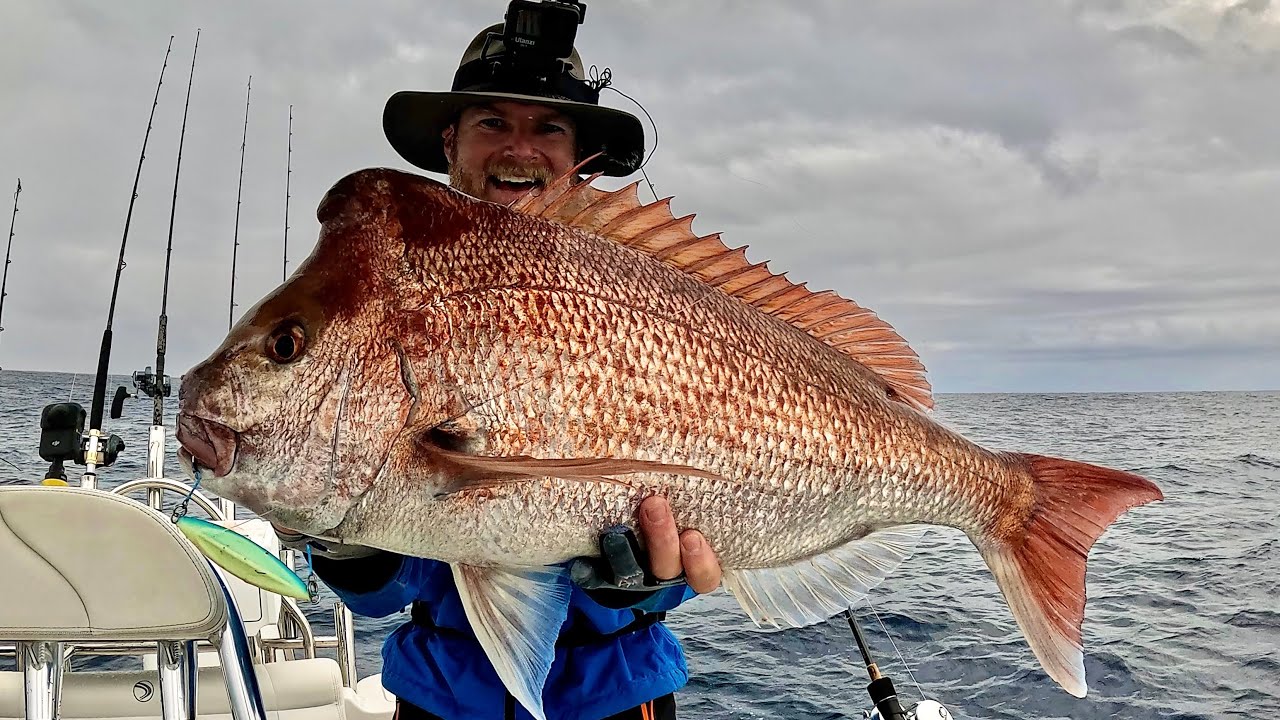 The Rain Made Them BITE!! | Unreal Reef action (Slow Jigging & Live Baits)