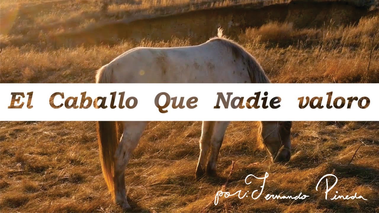 El caballo que nadie supo valorar - Reflexiones para el alma