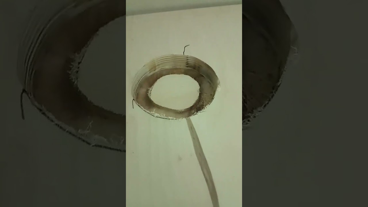 Самодельный биофильтр для дискусов.