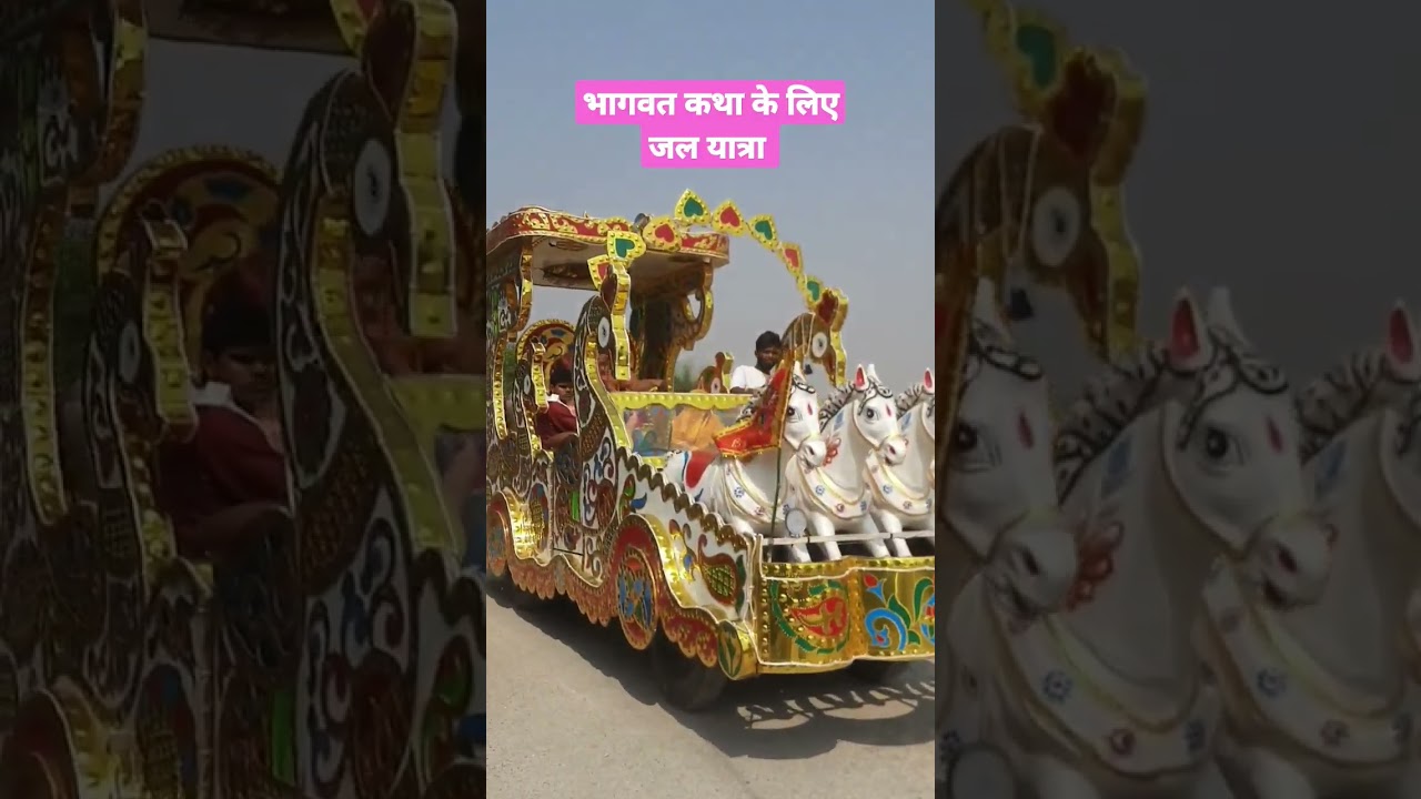 भागवत कथा कलश यात्रा #bageshwardhamsarkar #bhagawatsaptaha #sorts #sorts feed