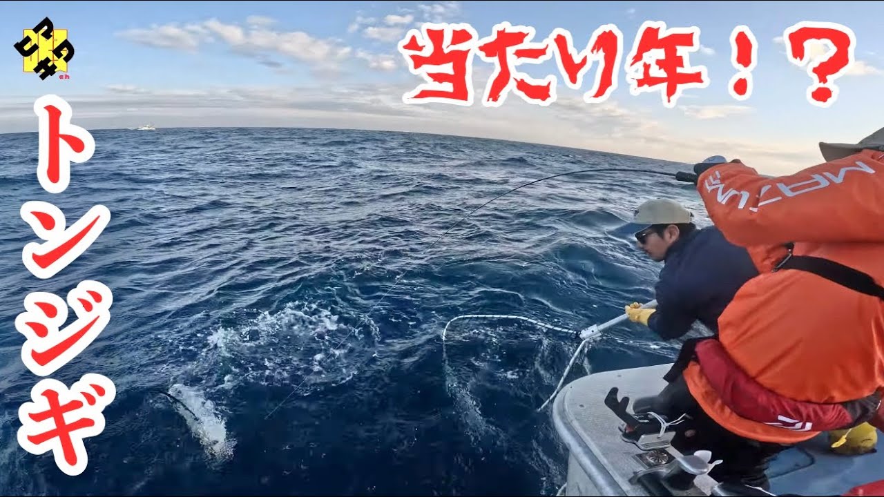今年はトンジギ当たり年か？【ヒマキワch　会社員釣り趣味奮闘記 #64】
