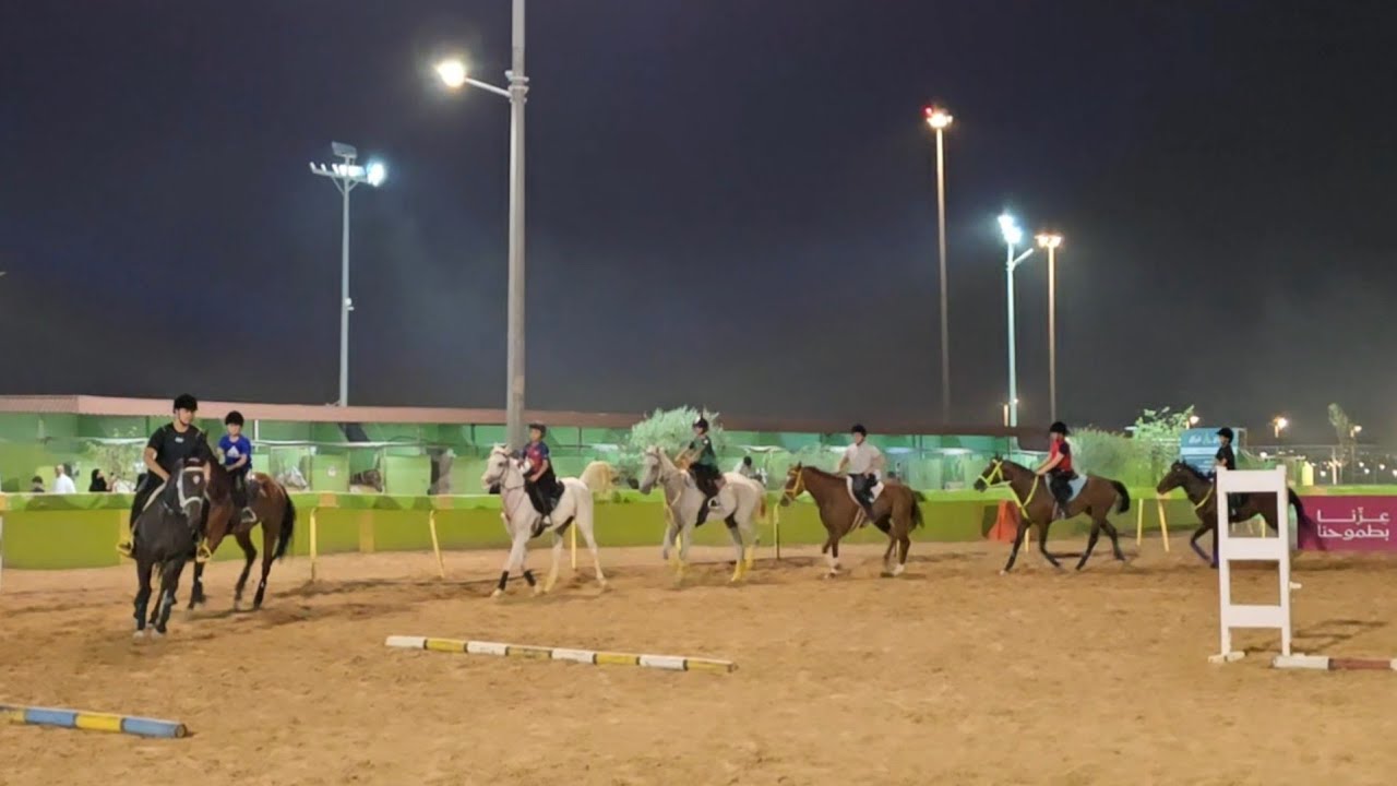 ​Royal Horse Parade 2026 خيول عربية 🐎  #trending #trend #youtuber #youtube #youtubeshorts #shorts 