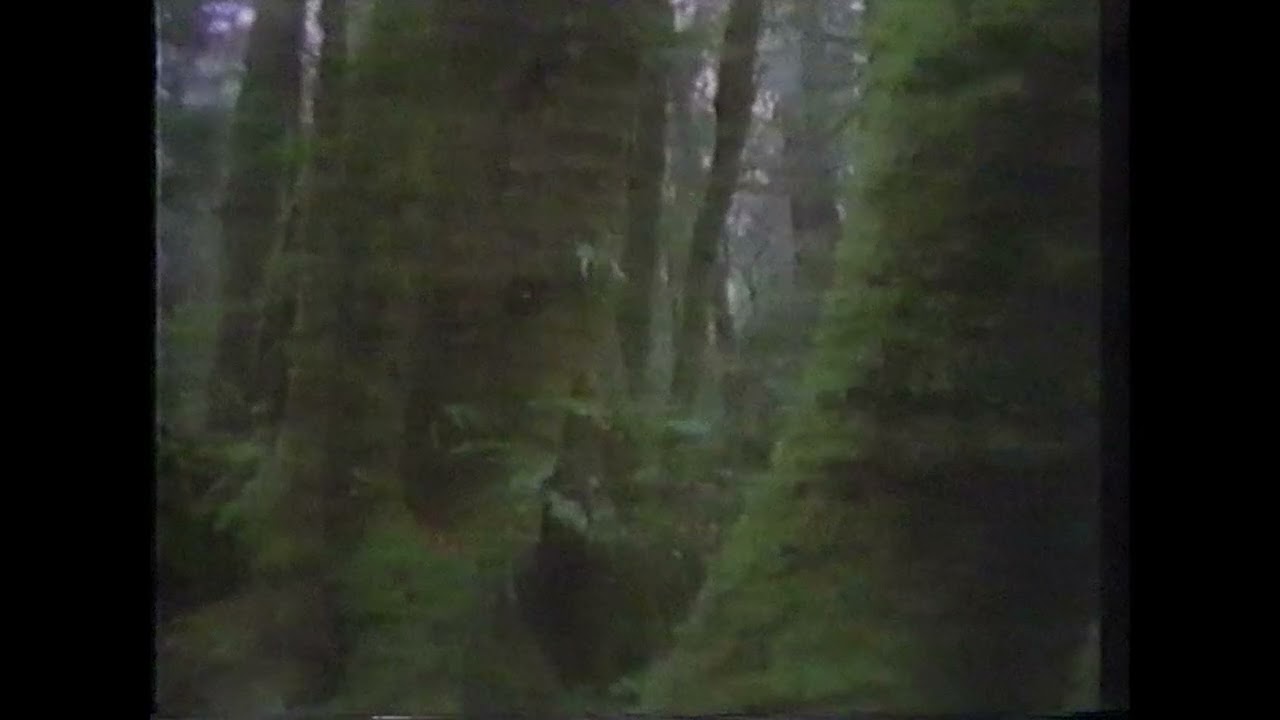 [FREE FOR PROFIT] SURRENDERDOROTHY x BONES TYPE BEAT 