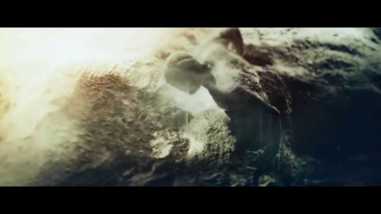 Curse: Tatooine (Official Video)