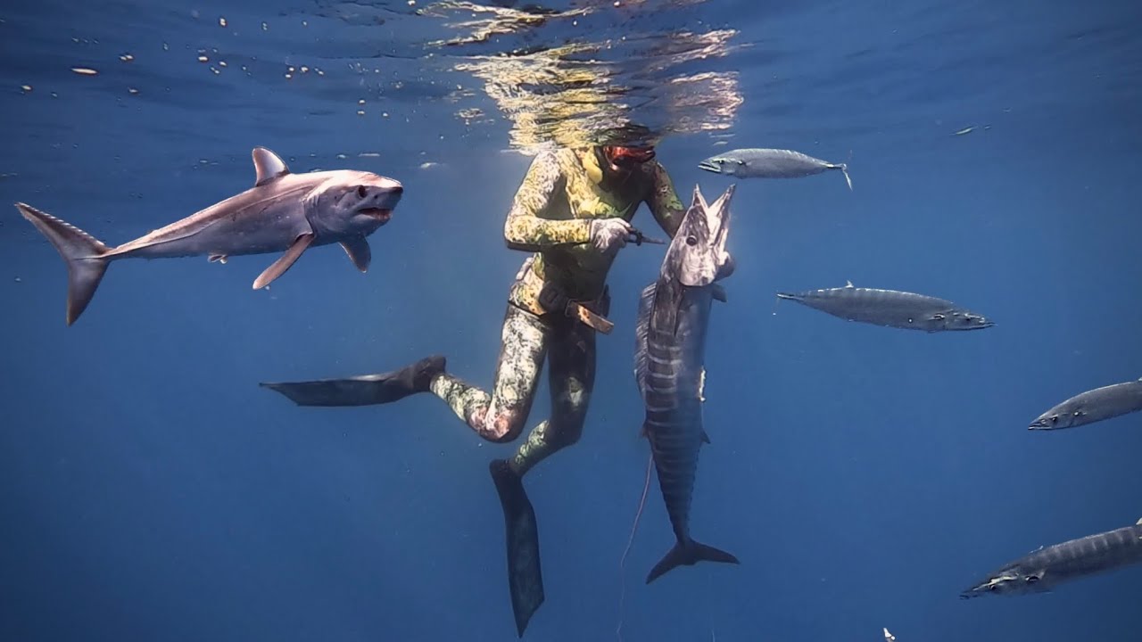 Spearfishing GIANT FISH in Canary Islands - Pesca Submarina en Tenerife