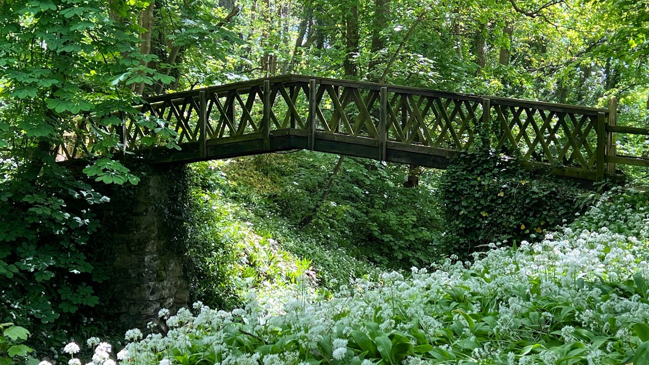 Enjoying a walk around Shorwell Shute, Isle of Wight May 2023