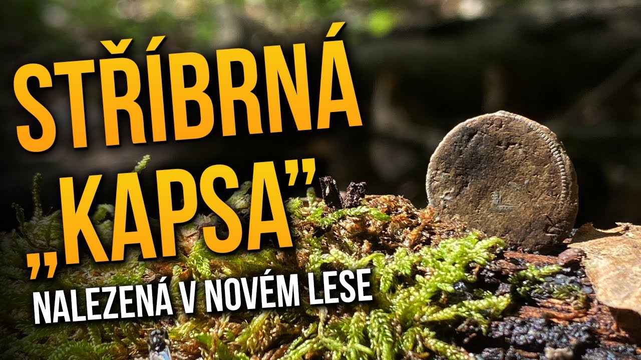 Kapsa stříbrných drobáků z nové lesní cestičky nalezená detektorem