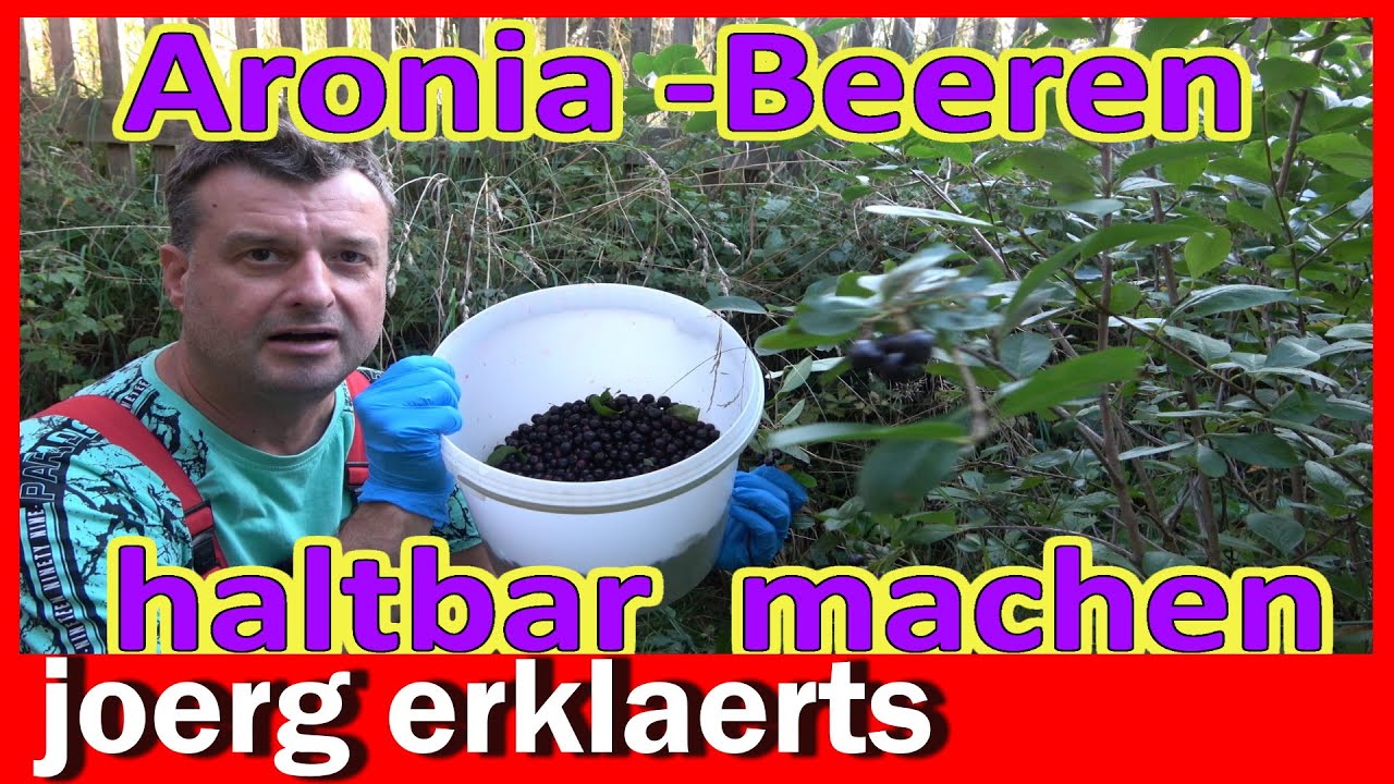 ARONIABEEREN haltbar machen Aronia Beeren länger haltbar machen ganz einfach  DIY Tutorial No. 411