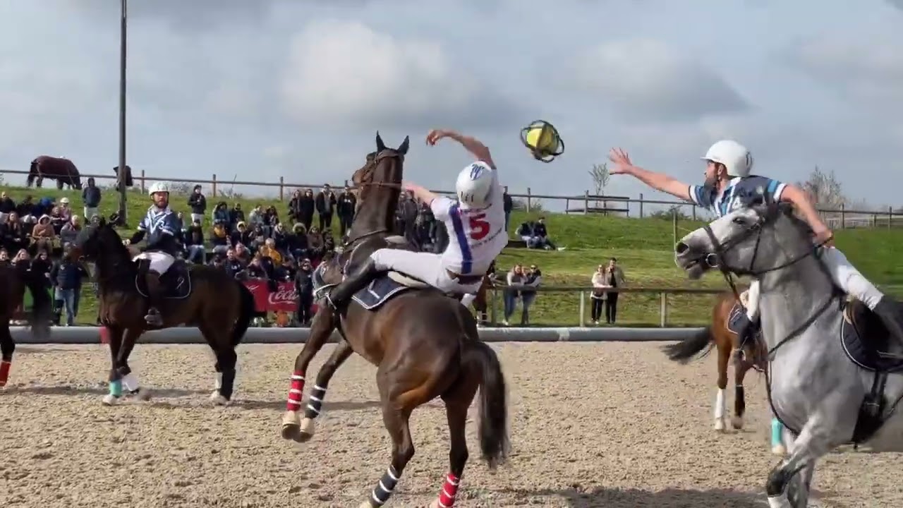 HLB Lille vs Angers - Pro Elite 2023 - 16 Avril