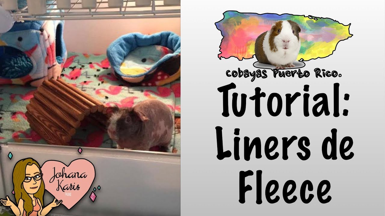Tutorial con Shery: Liners de Fleece / Sustrato de Tela 🏠🐹 | Cobayas Puerto Rico