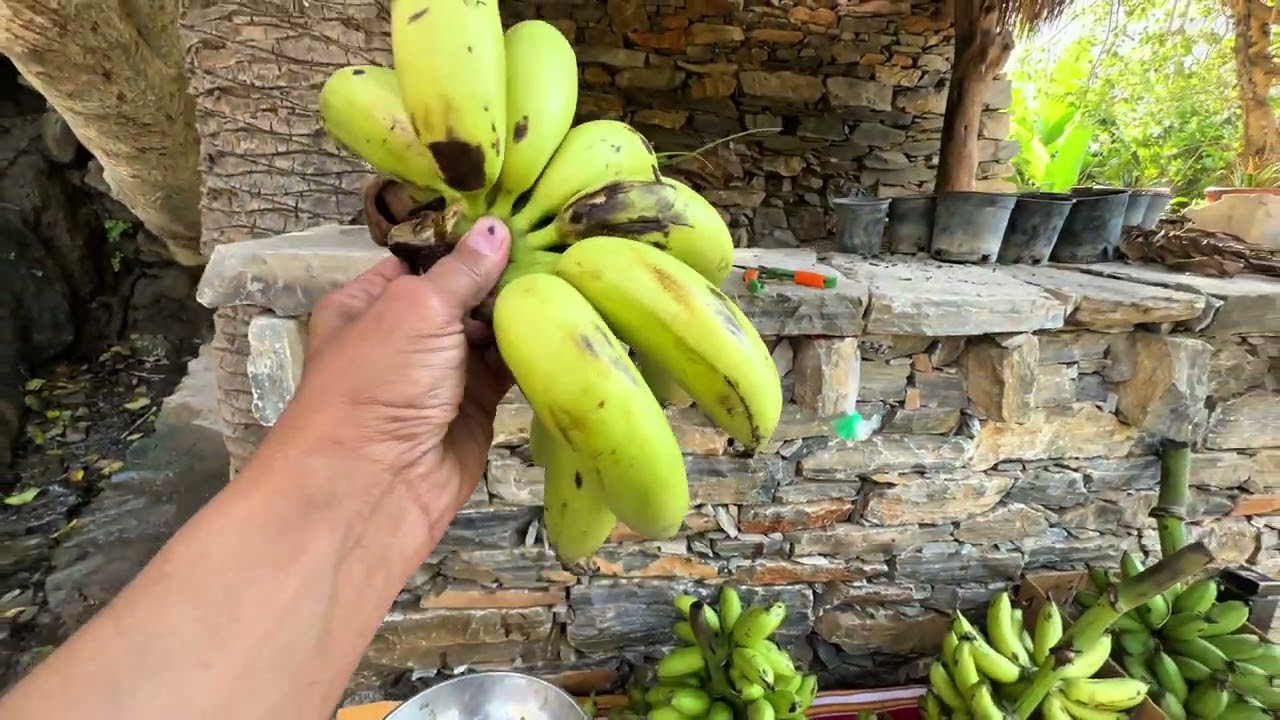 قرية ذي عين التاريخية