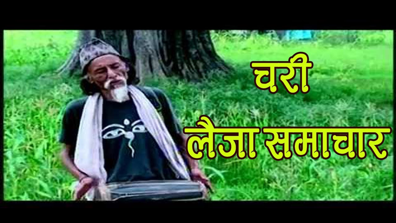 chari laija samchar nepali song barkha song {चरि लैजा समाचार}