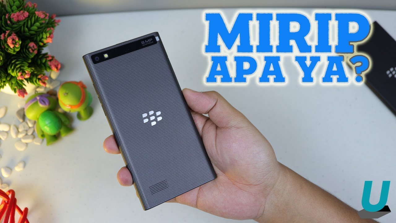 Apa Itu Blackberry Leap? Pernah Dengar?