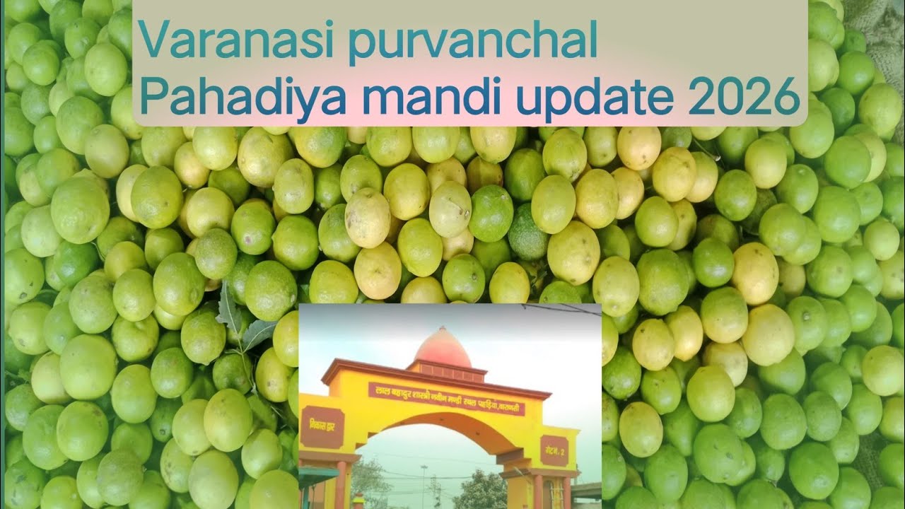 Varanasi purvanchal Pahadiya mandi update 2026//#ytshorts #fruit #vegetables #venezuela #farming 