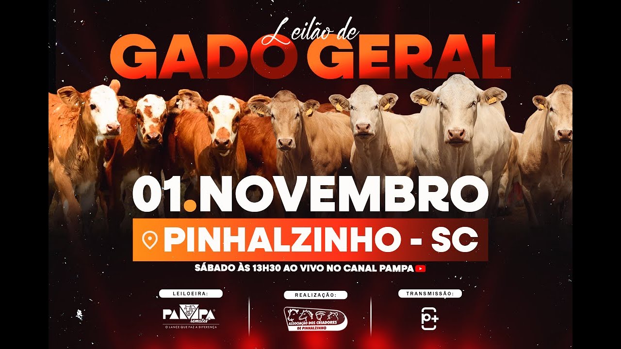 Leil&atilde;o de Gado Geral, PINHALZINHO/SC - 01/11/2025 13:30h