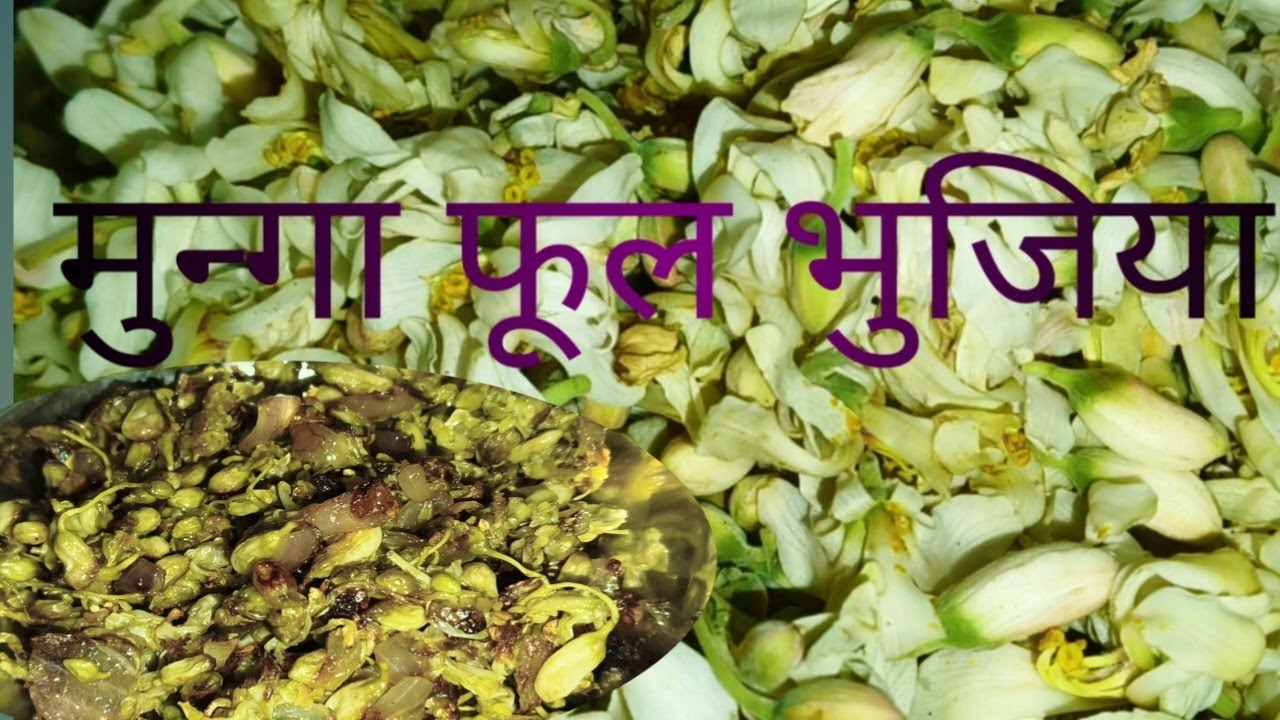 सहजन फूल कि भुजिया,मुनगा फूल, जोकि फूल, sohjan phul Chatpati recipe।