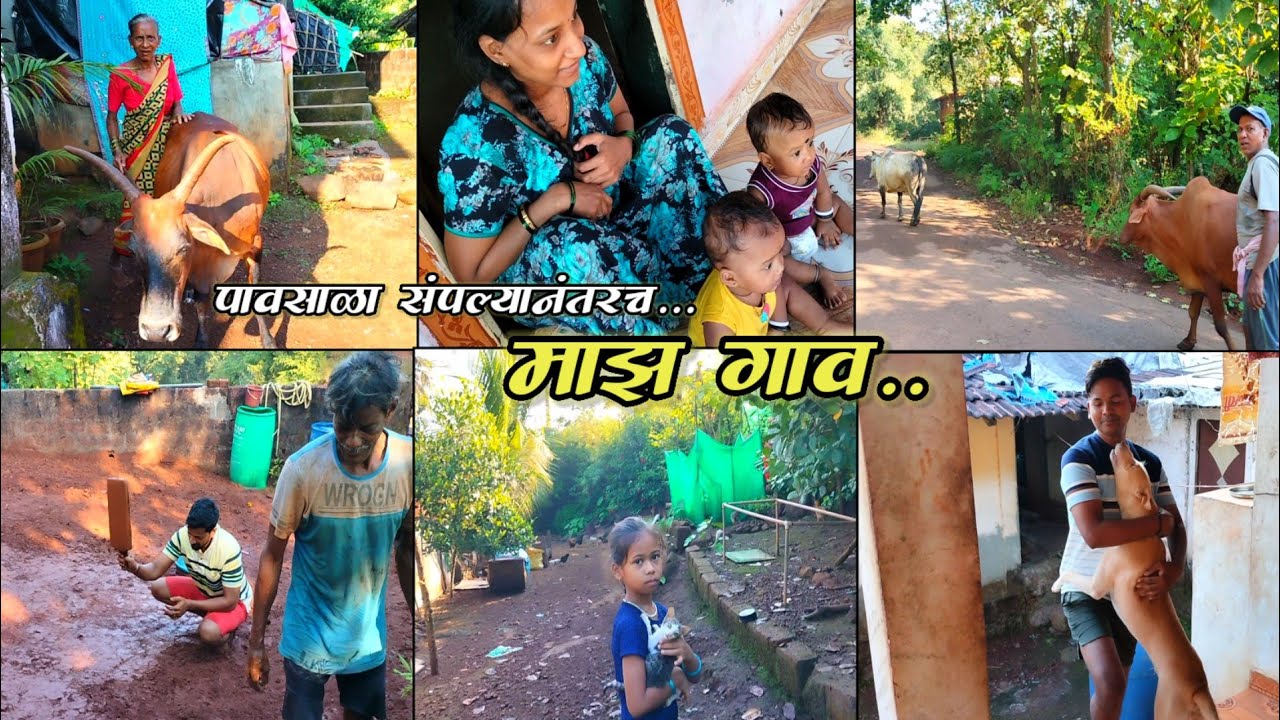 पावसाळा संपला 😊| कस आहे गावाकडच वातावरण🤗 | गावाकडची सकाळ 🌴&hearts;️| 
