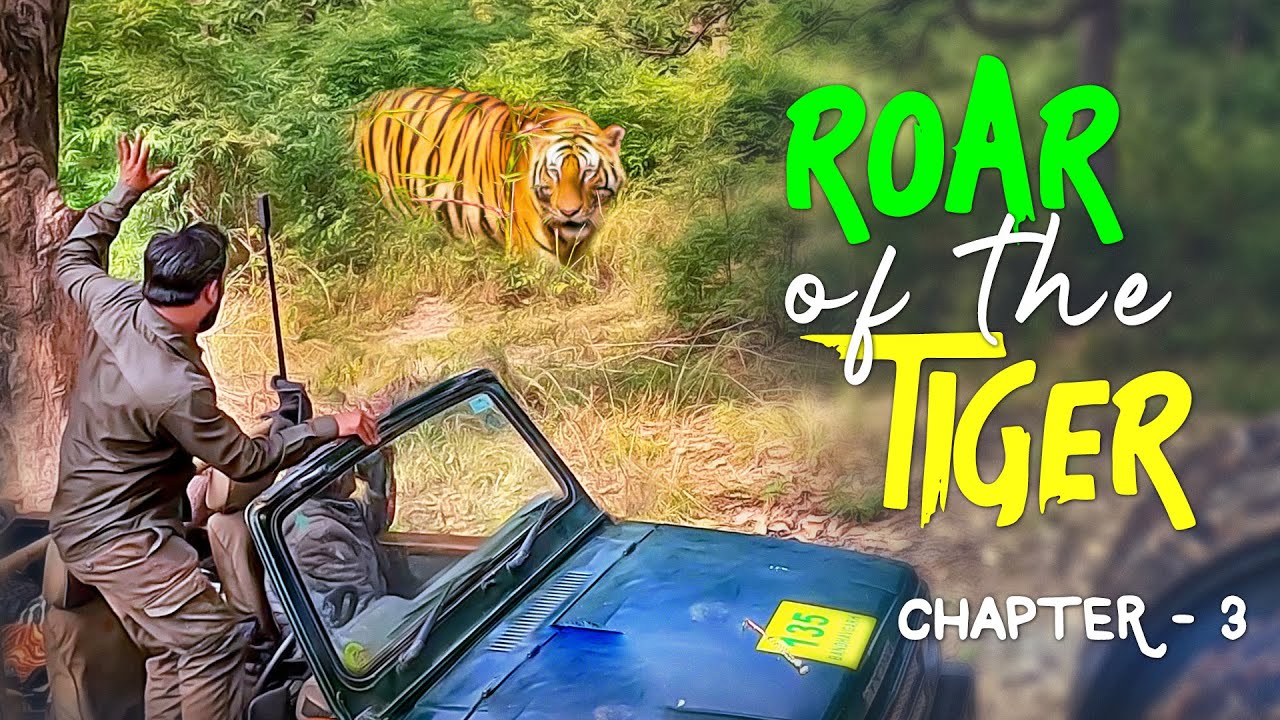 EP 3 - Exploring India's Fierce Beauty Bandhavgarh Tiger Reserve - 4K Video