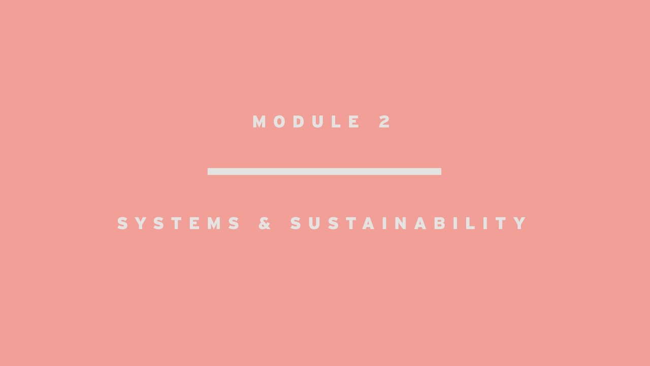 Module 2: Systems and sustainability - Finnish subtitles