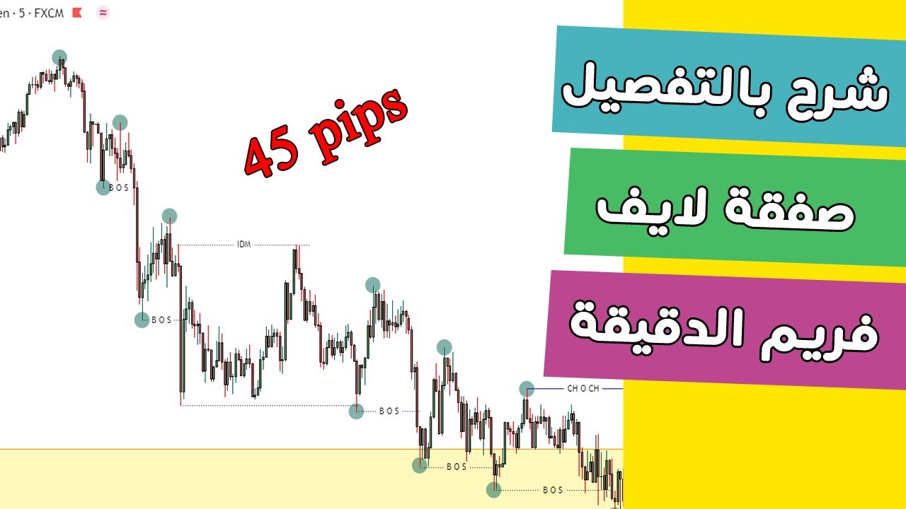 فوركس | شاهد وتعلم مع صفقة بالتفصيل على فريم الدقيقة
