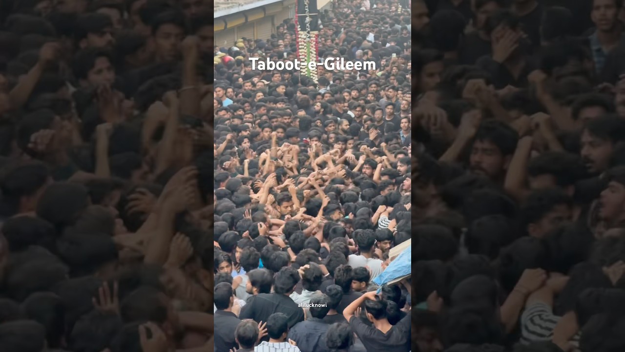 19 Ramzan Lucknow Taboot-e-Gileem Shahadat Imam Ali a.s #19ramzanstatus #yaali #gileemwalataboot