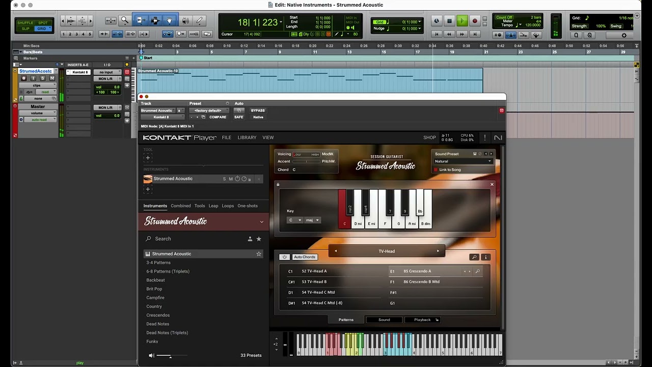 Native Instruments - Strummed Acoustic (All Sounds)