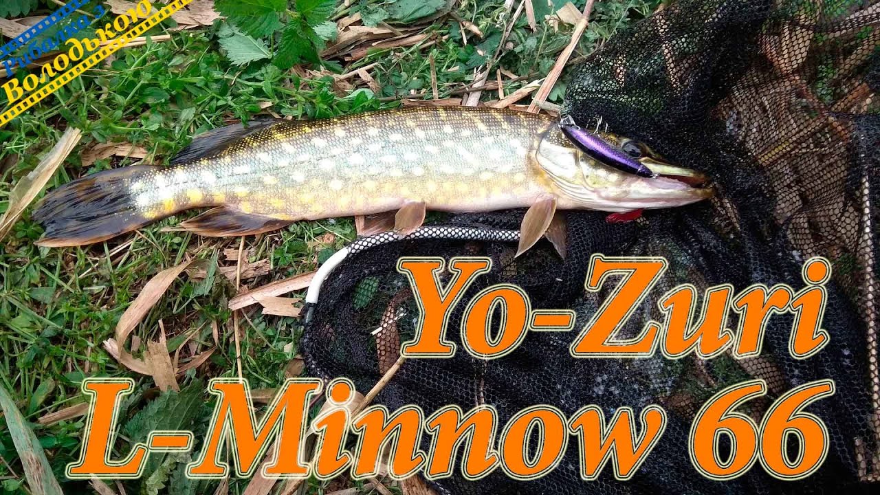 Огляд воблера Йо-Зурі Л-Міннов 66 для ловлі окуня та щуки! Yo-Zuri L-Minnow 66 для ловлі хижої риби