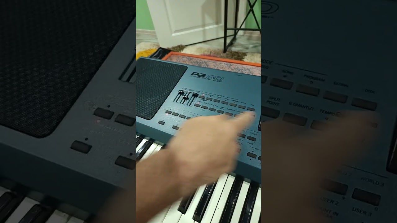 Korg PA 80  T&uuml;rkiye'de tek