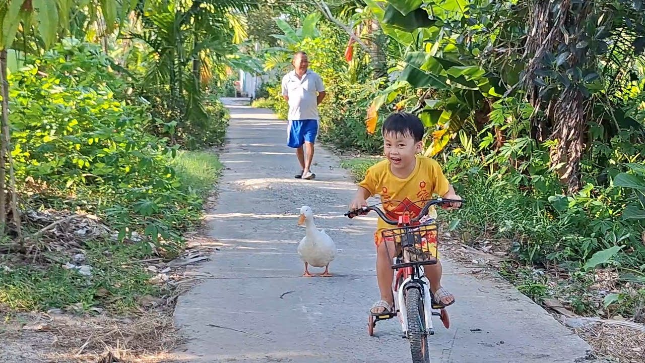 Chuột Chở Con Gà Với Con Vịt Lại Nhà Bà Cô Chơi #meconnhachuot #chuotchocongalainhabacochoi