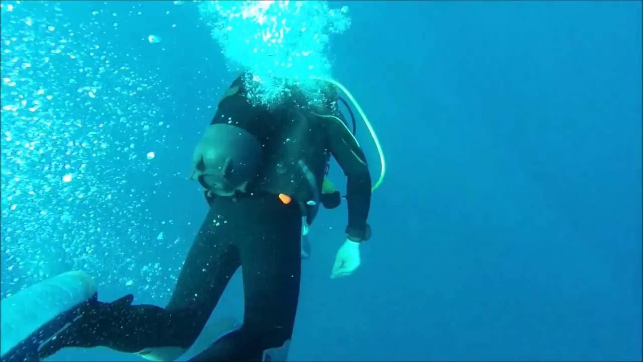 BUCEO (OWD Y AOWD)  AGUILAS - MURCIA diving