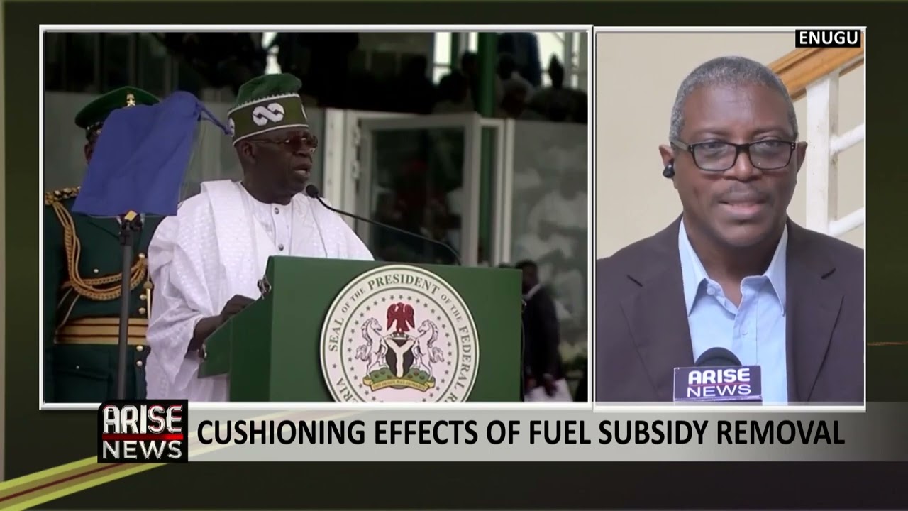 N500 Billion Unnecessary, Not Enough to Cushion the Effects of Subsidy Removal - Amobi