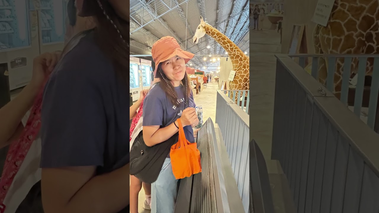 柴山海蝕洞走走 坐船遊港週日放鬆漫旅 