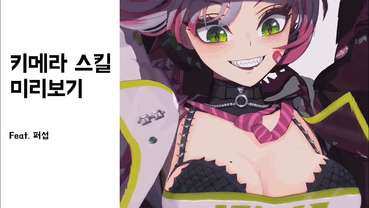 던파 키메라 스킬 미리보기 feat. 퍼섭