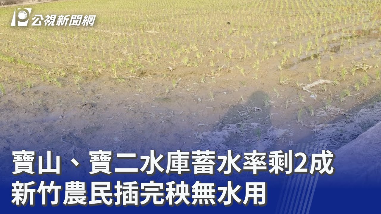 寶山、寶二水庫蓄水率剩2成 新竹農民插完秧無水用｜20260324 公視晚間新聞