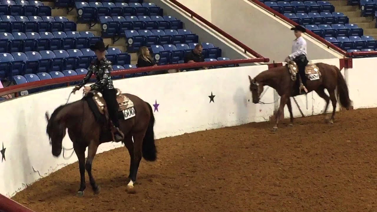 Codee 2015 Appaloosa World Championships, Western Pleasure