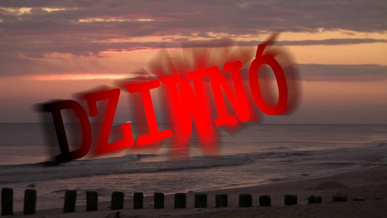 DZIWNÓW  WAKACJE 2013