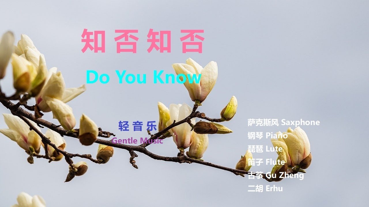 知否知否-Do You Know【YouTube轻音乐 】#PopularMusic#YouTube流行音乐 #轻音乐 #悠雅#知否知否#DoYouKnow