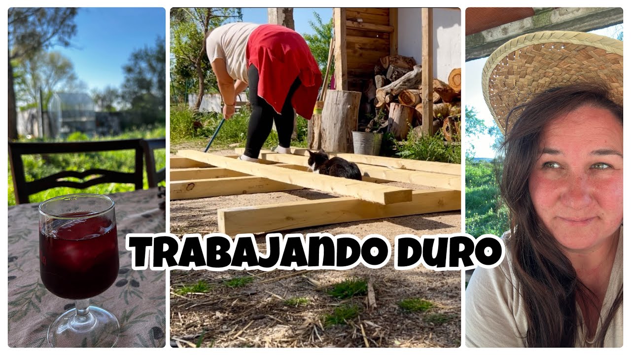 #224 🏡 Trabajando duro en la finca 🏡 👀/ Casa, cosas hechas y por hacer 🤩/ Pollitos creciendo 🐥🐥🐥