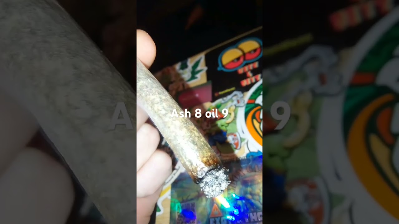 Diesel dispensary blue zushi burn test #shorts #reels #fyp
