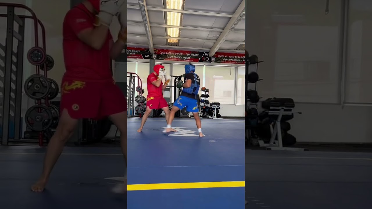 Sanda drill combo practice #wushu #sanda #mma #kungfu #sanshou #martialarts #kickboxing #fighter