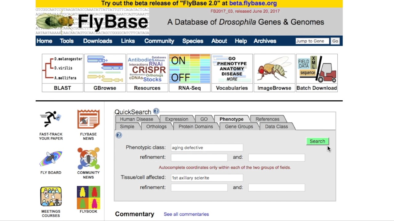 Finding genes with similar phenotypes