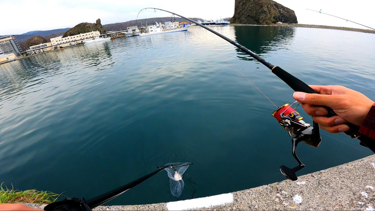４０オーバーのカレイが釣れた！