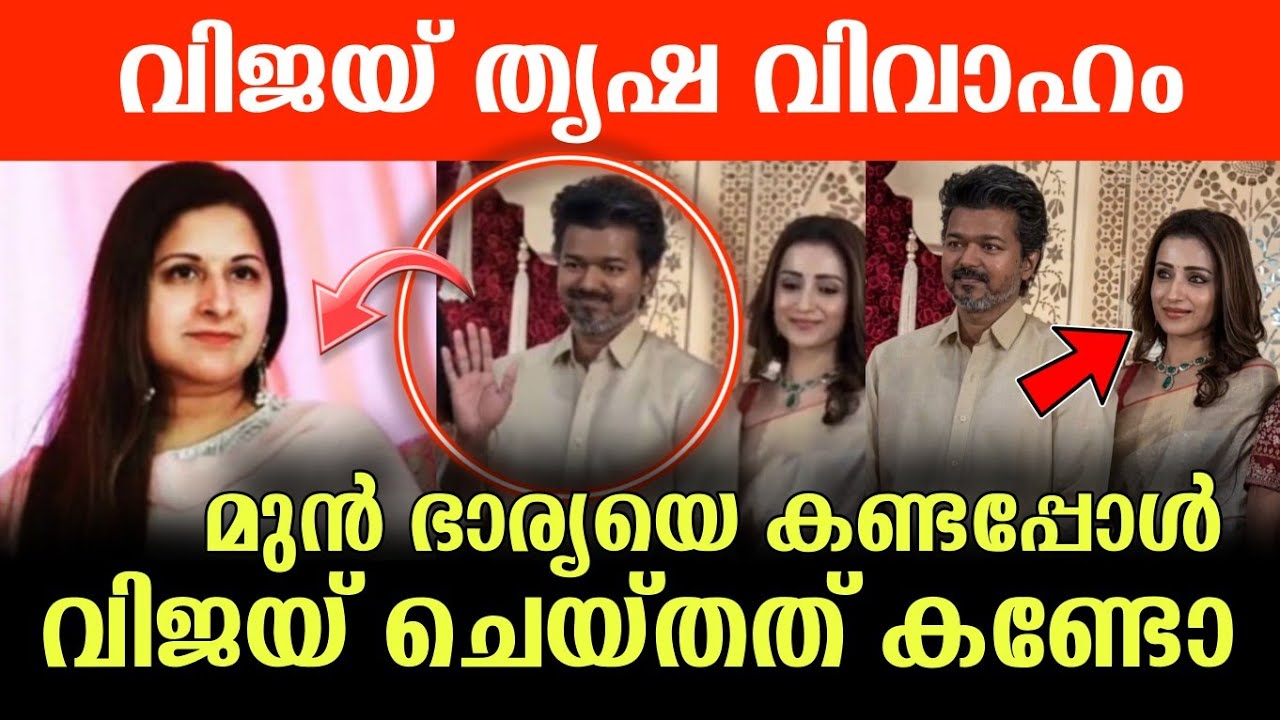 തൃഷയുമായുള്ള വിവാഹം 🙏😭..ആരാധകരെ ഞെട്ടിച്ചു വിജയ് 😮 #vijay #malayalam #trisha 