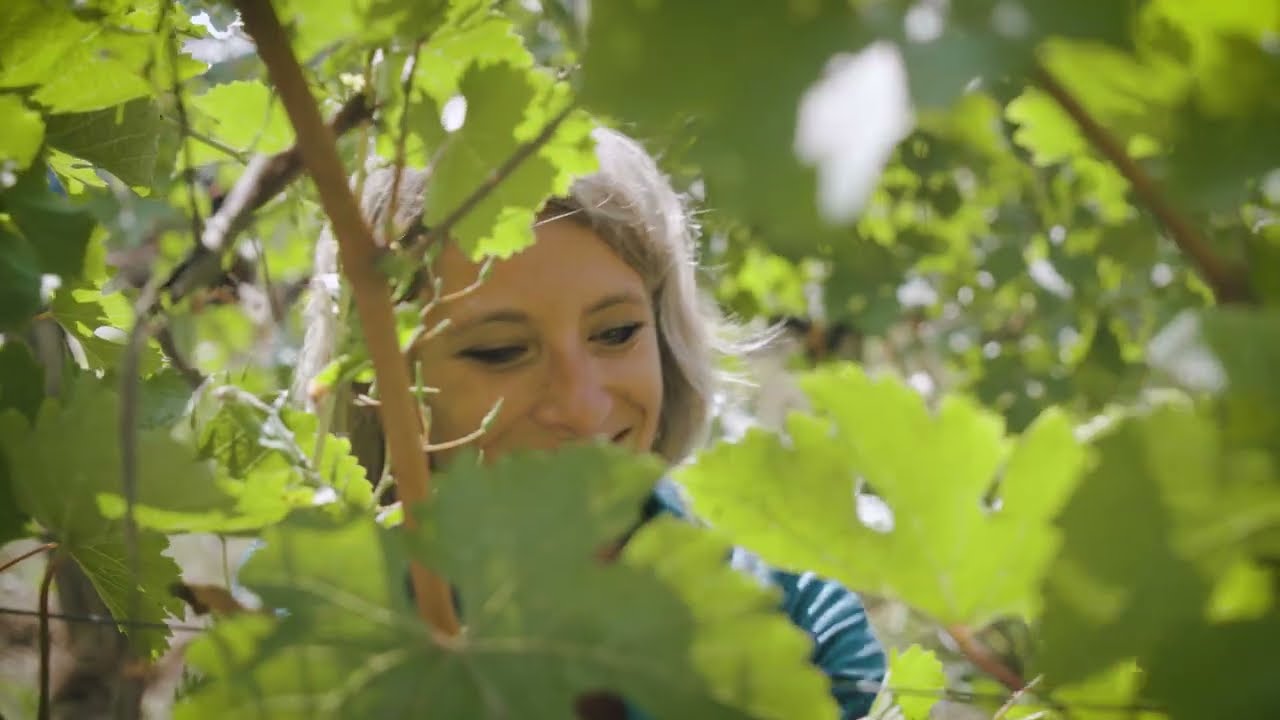 L'Arpenty - Vin de Chinon