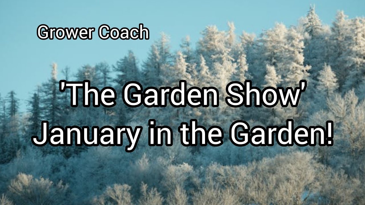 January in the Garden! on 'The Garden Show' 