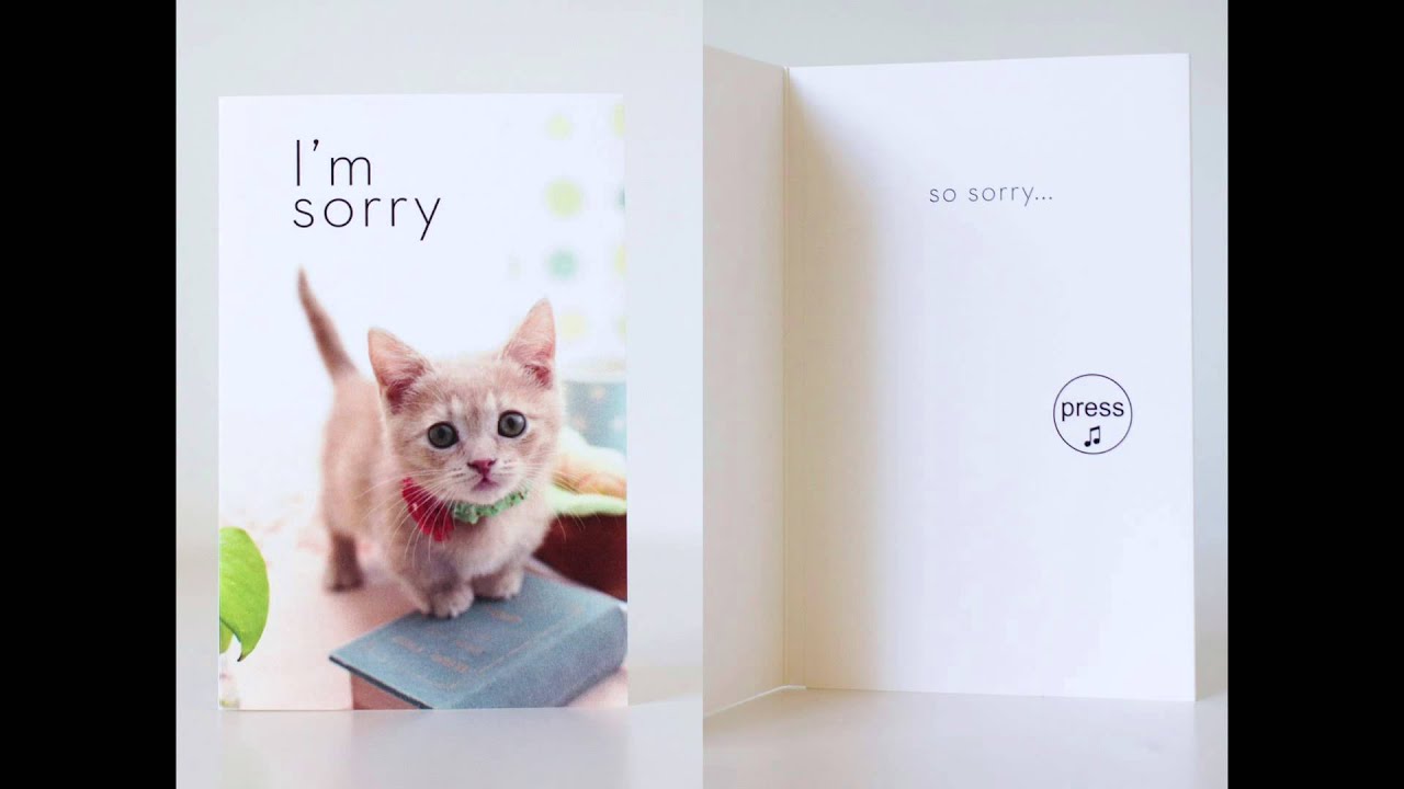 Prank I'm Sorry Card